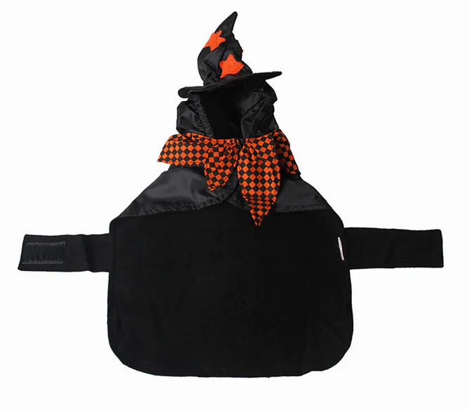 Close up of witch hat for pet costume