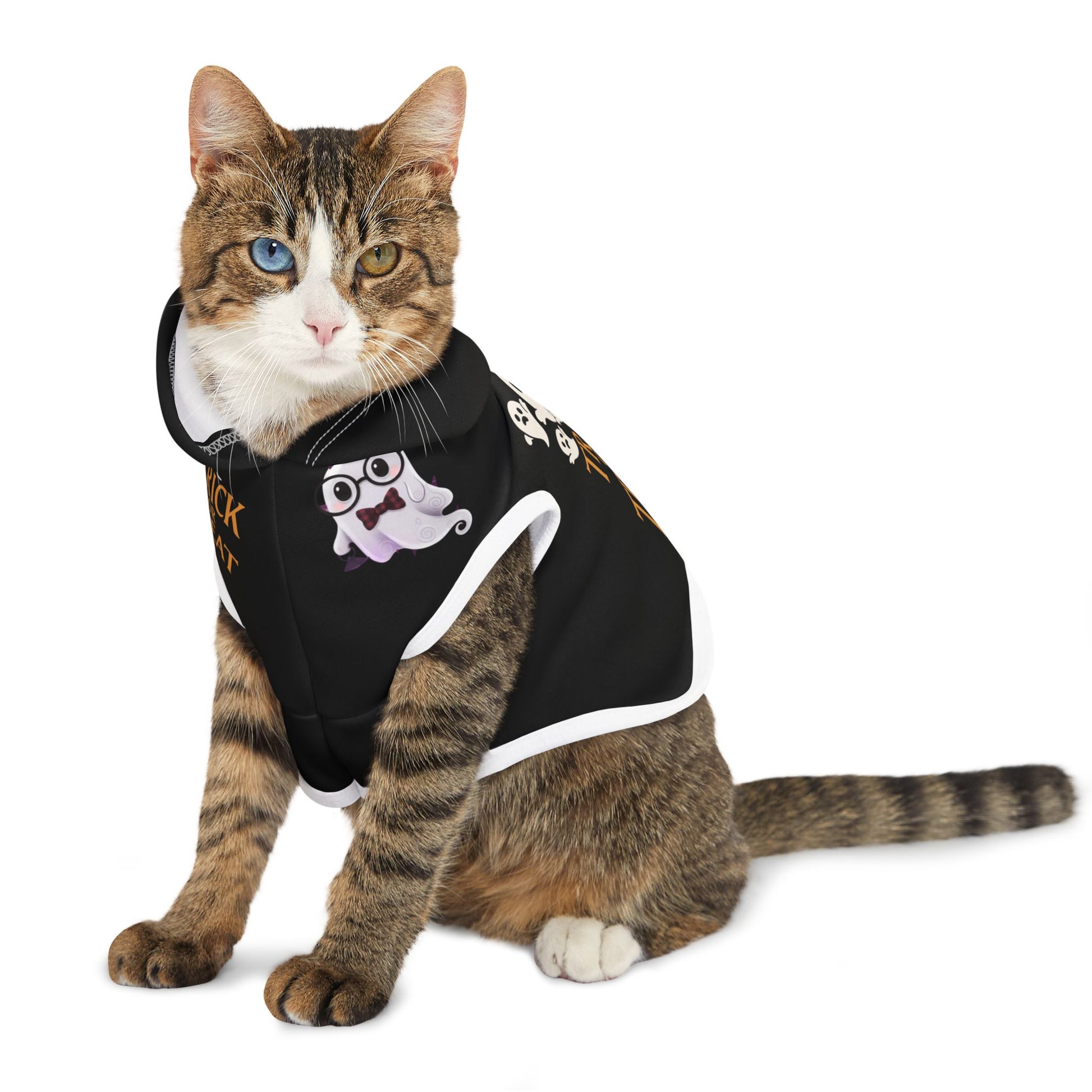 Halloween ghost dog costume trick or treat outfit