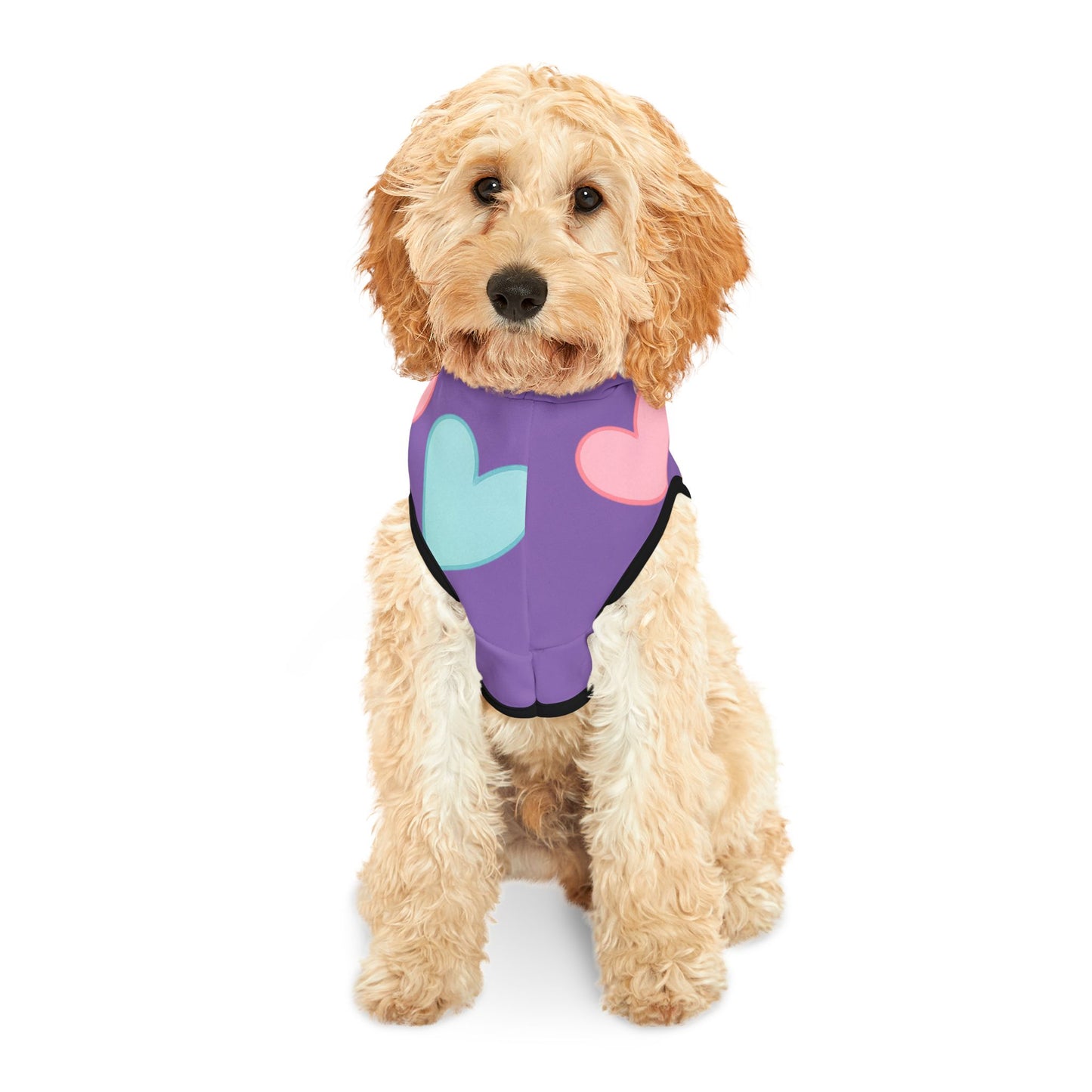 beautiful heart hodi for cats and dogs
