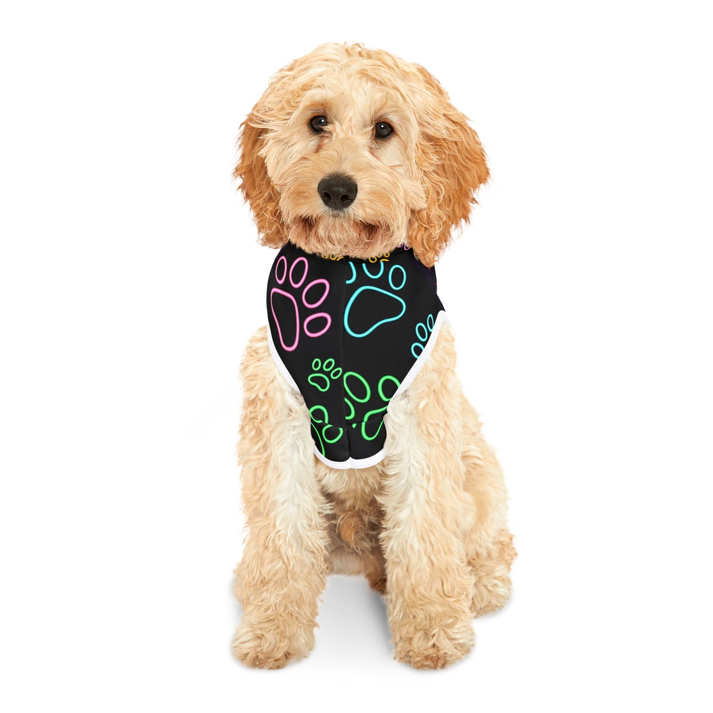 1 Adorable Colorful Pet Hoodie for Playful Pups, Dog Sweater, Pet Costume, Animal Hoodie, Birthday Gift, Dog Apparel, Pet Accessory