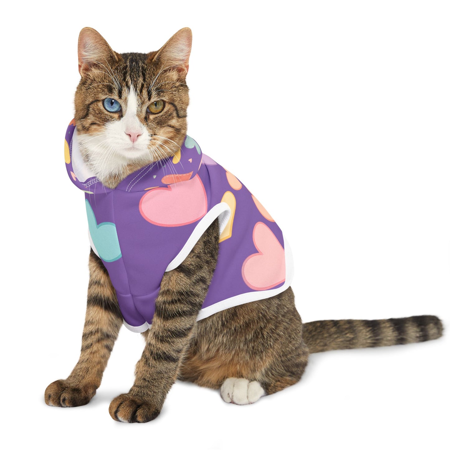 beautiful heart hodi for cats and dogs