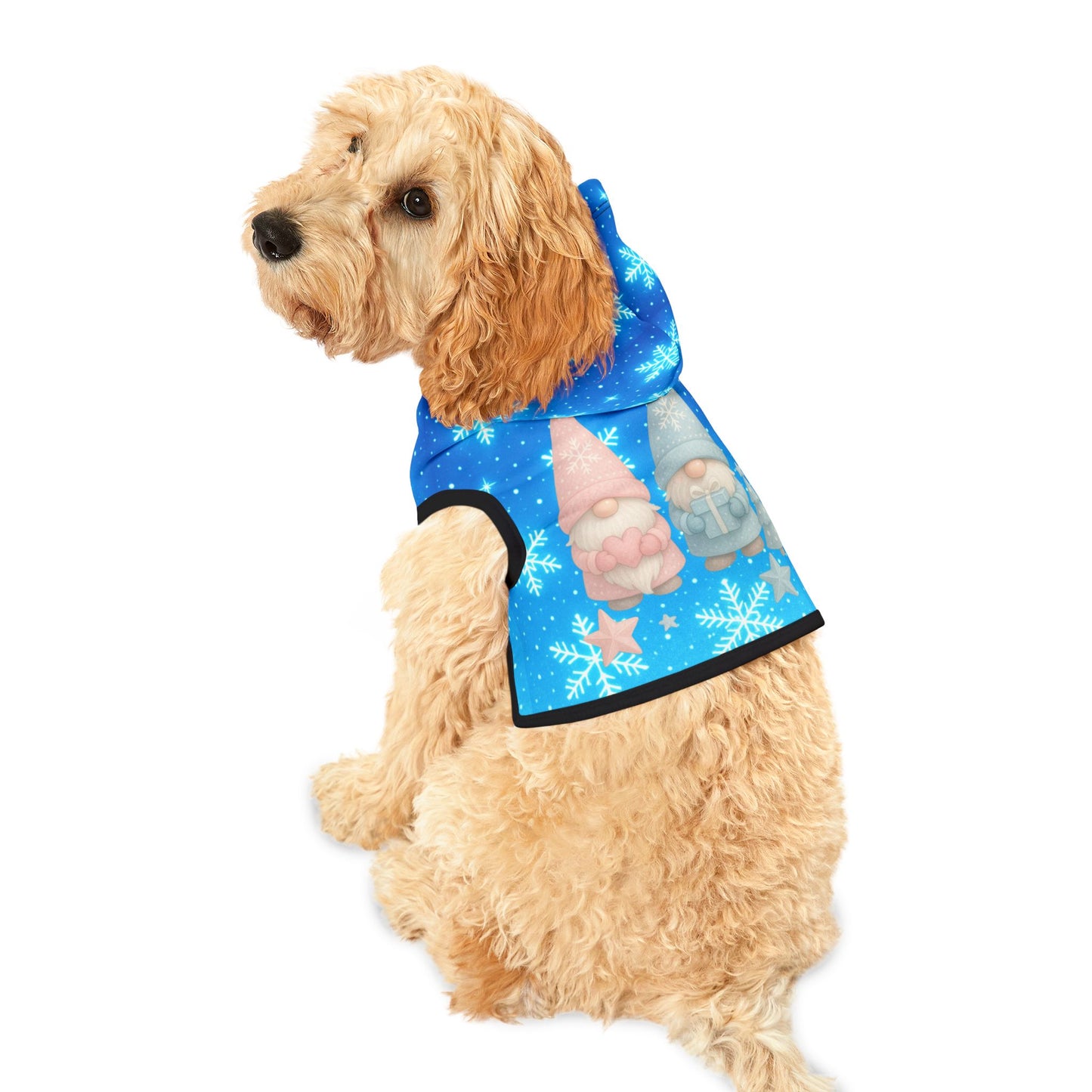 Beautiful Christmas gnome cat hoodie, and dog