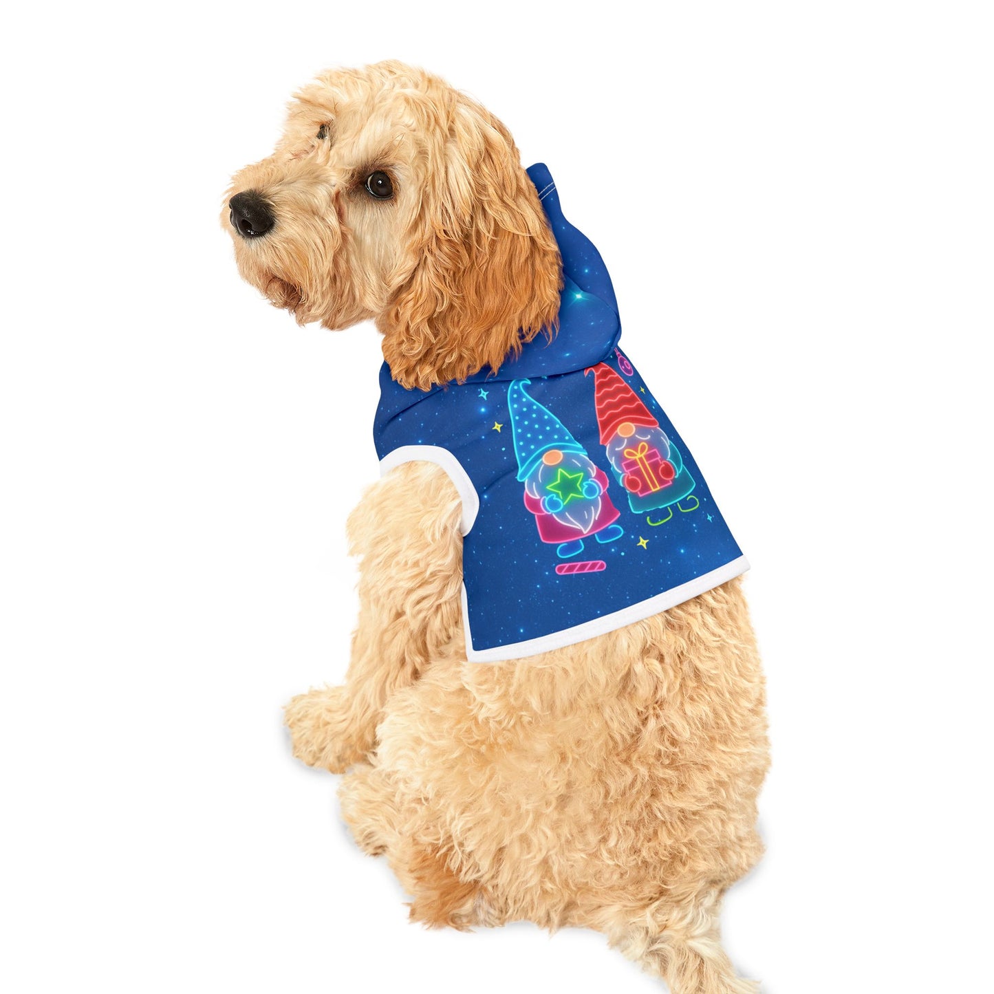 Cute Winter Gnome Pet Hoodie for Cozy Pets, Funny Dog Sweater, Holiday Pet Outfit, Seasonal Dog Gear, Gnome Lover Gift