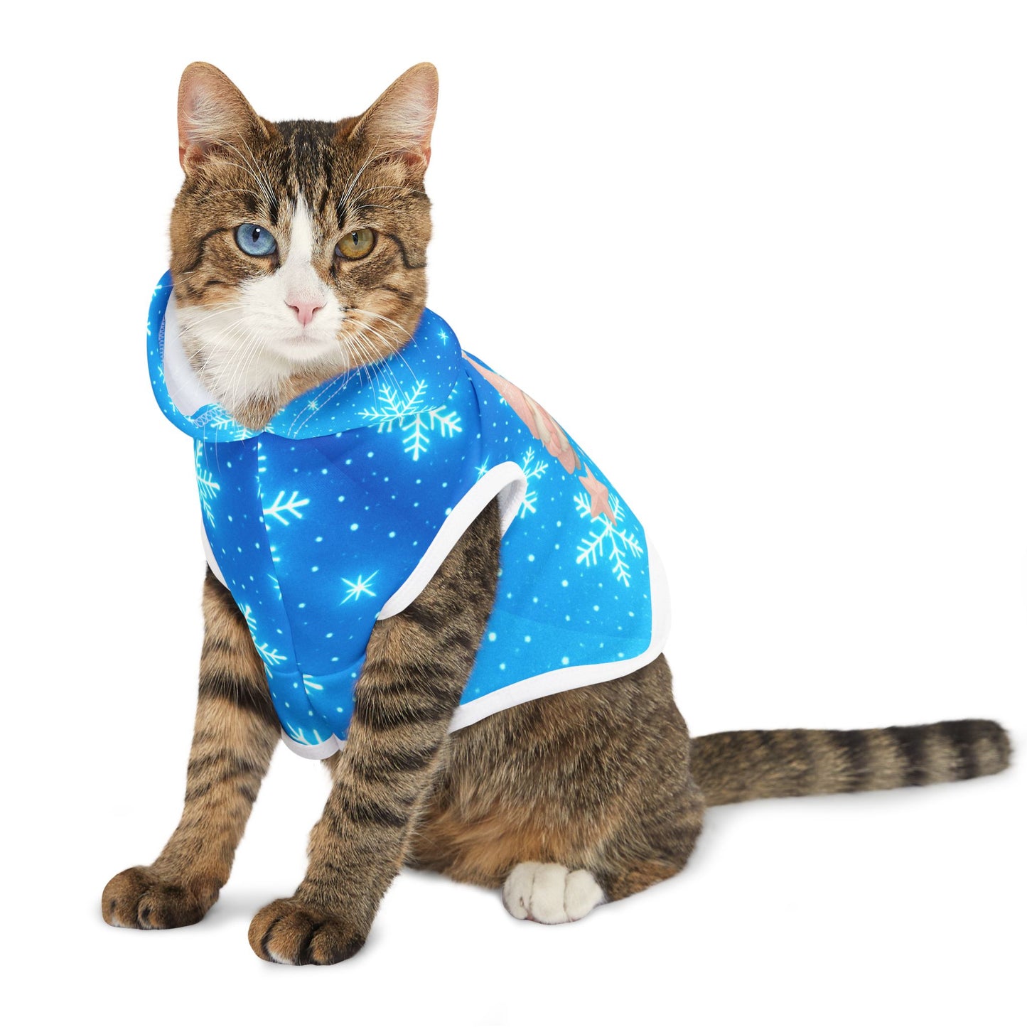 Beautiful Christmas gnome cat hoodie, and dog