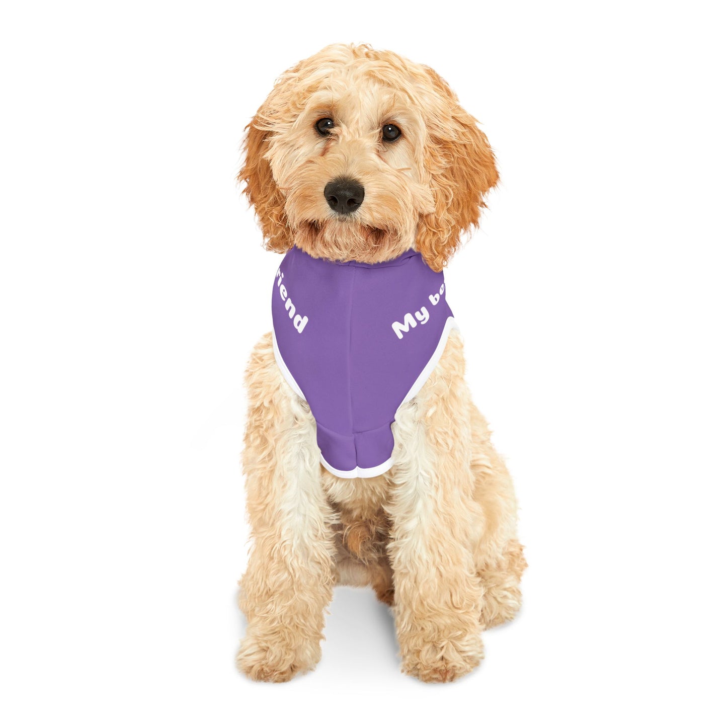 Personalized Dog Hoodie | Custom Pet Sweatshirt with Name – Soft, Cozy & Stylish