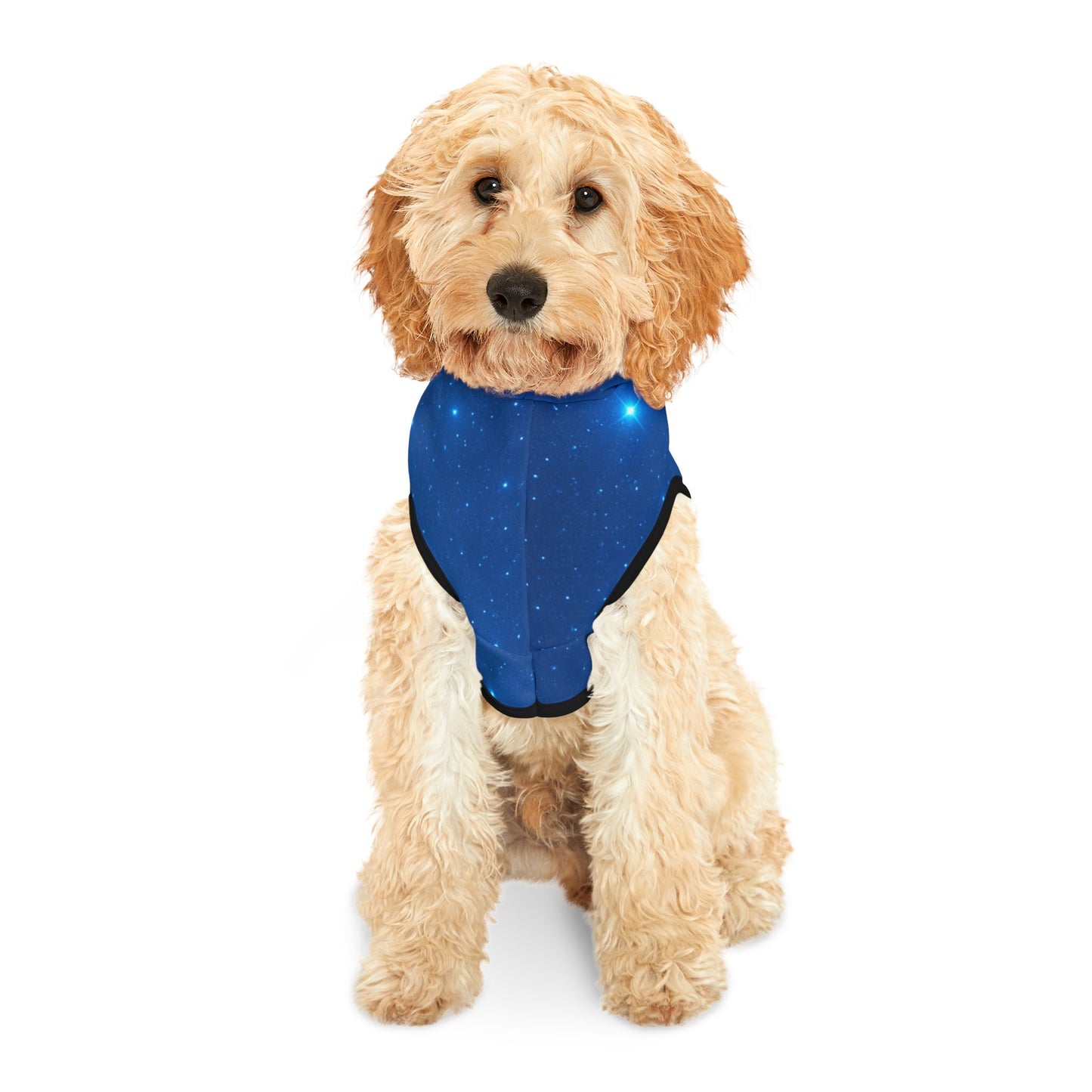 Cute Winter Gnome Pet Hoodie for Cozy Pets, Funny Dog Sweater, Holiday Pet Outfit, Seasonal Dog Gear, Gnome Lover Gift