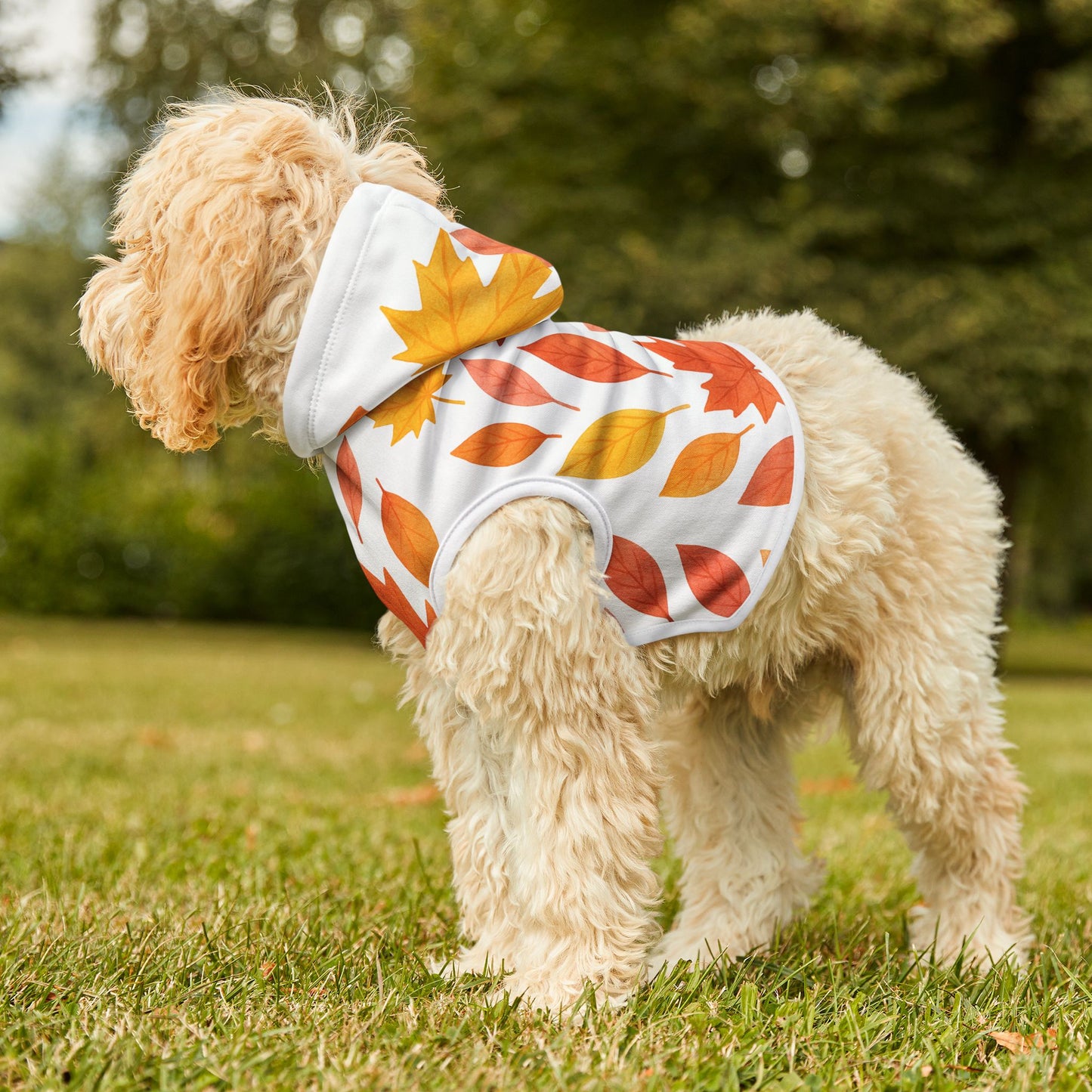 Autumn Leaves Pet Hoodie | Cozy Dog Attire, Fall Fashion for Pets, Cute Pet Apparel, Seasonal Dog Hoodie, Warm Petwear