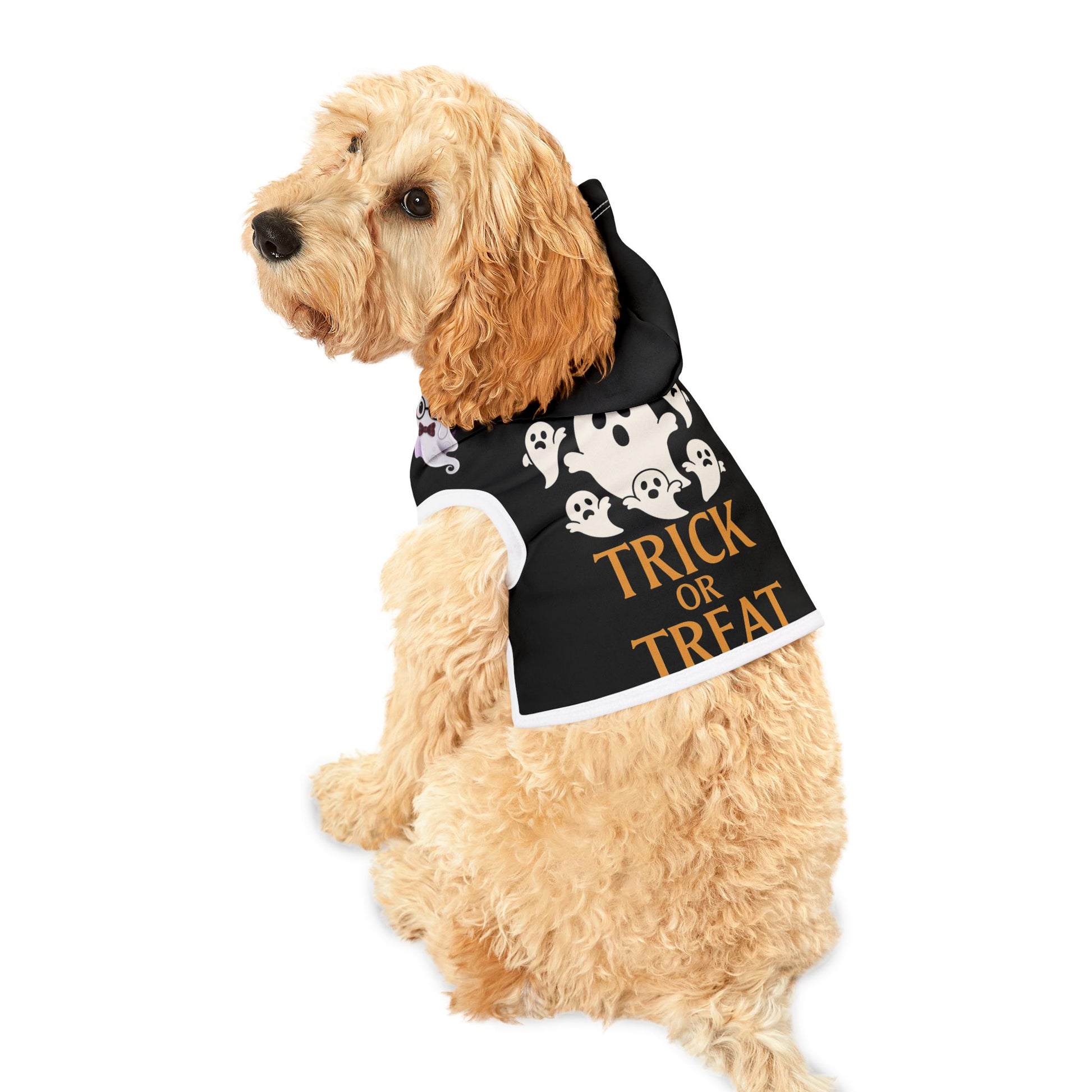 Halloween ghost dog costume trick or treat outfit