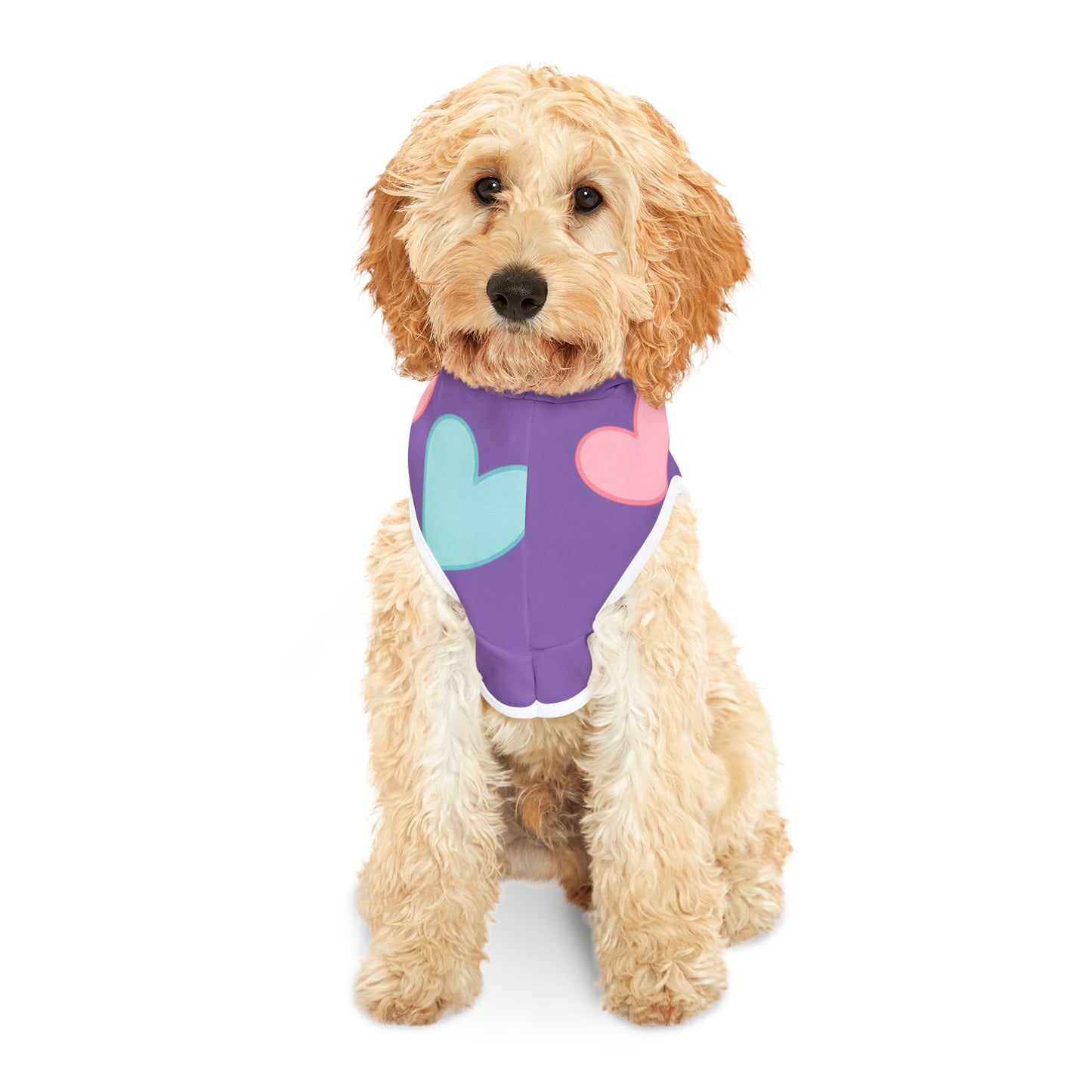 beautiful heart hodi for cats and dogs