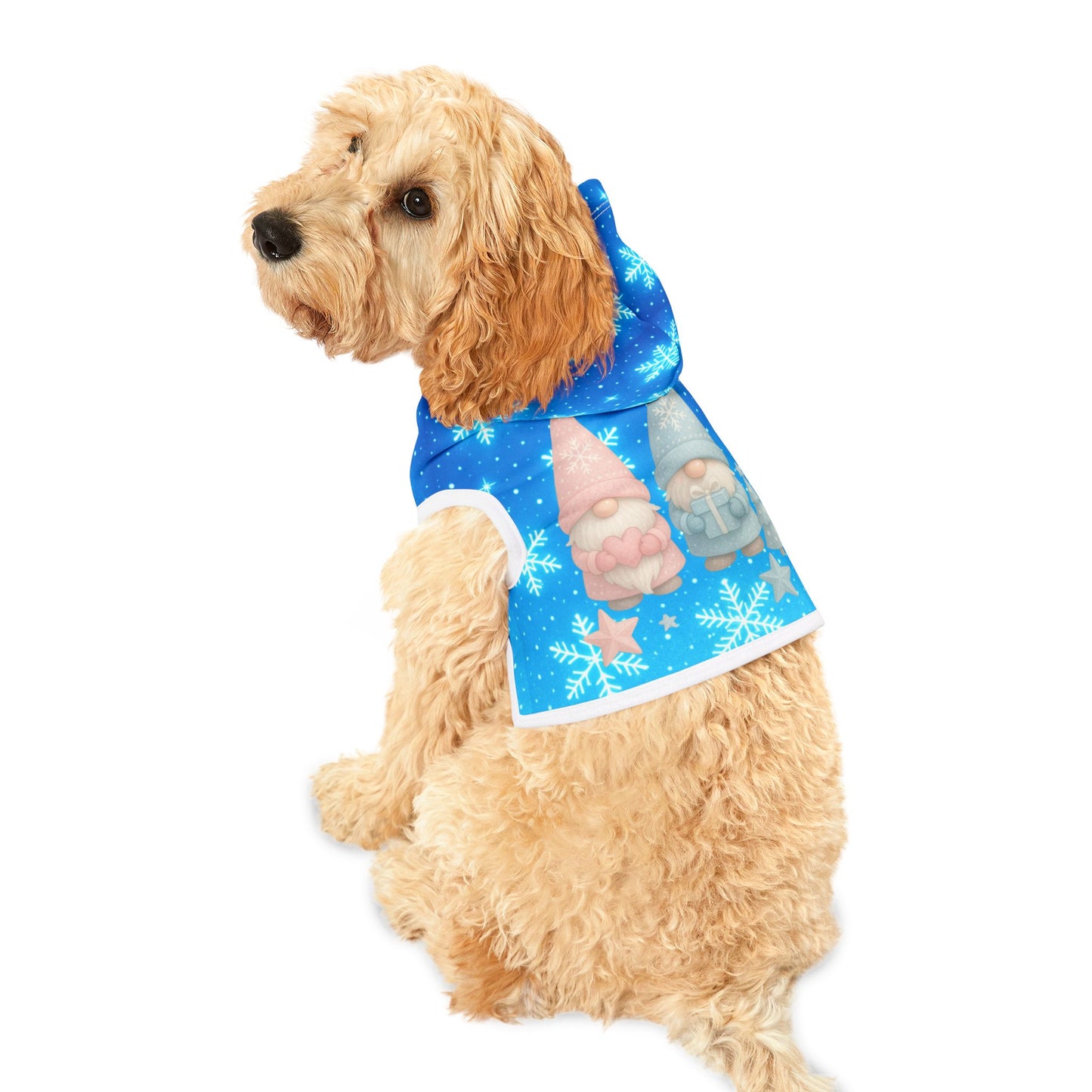 Beautiful Christmas gnome cat hoodie, and dog