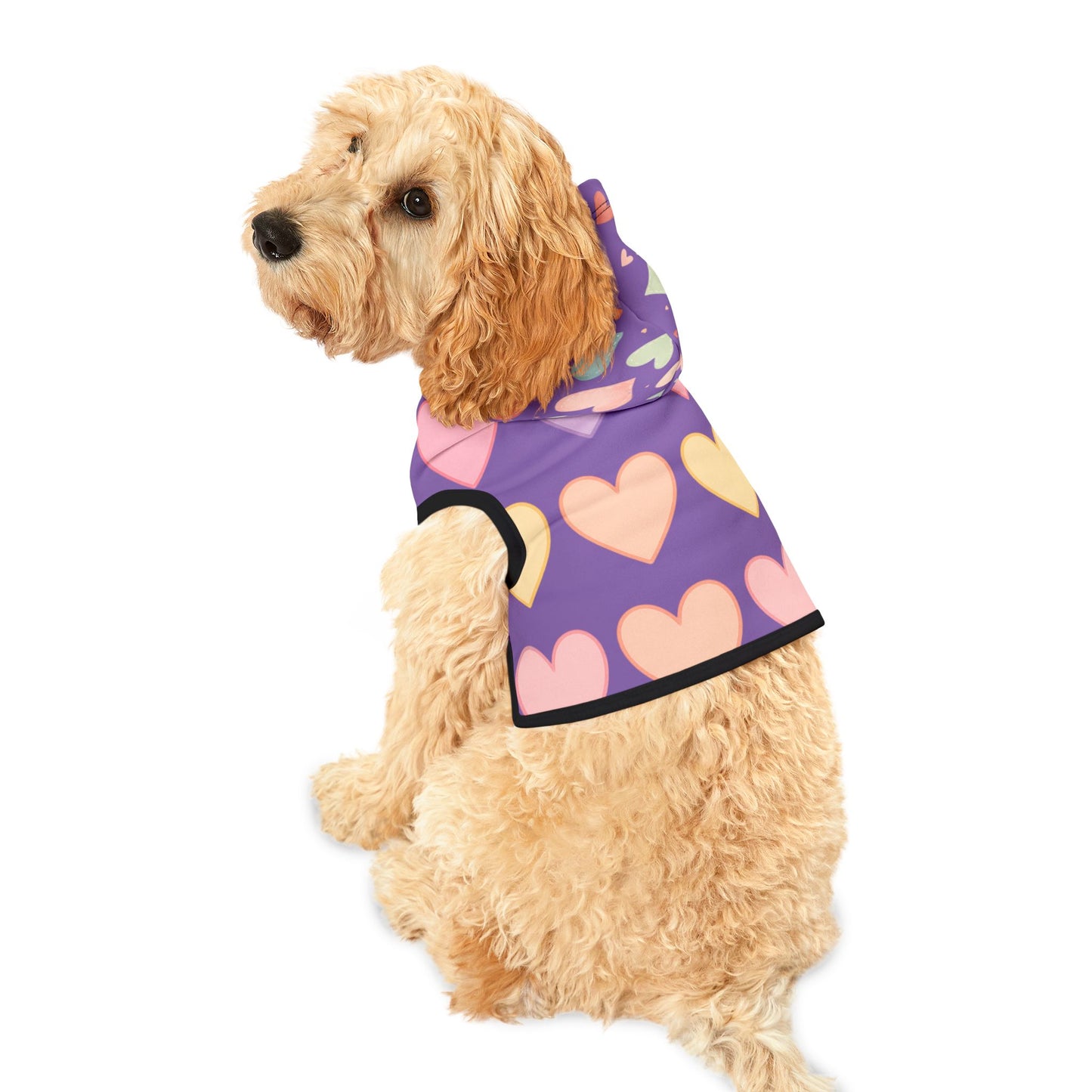 beautiful heart hodi for cats and dogs