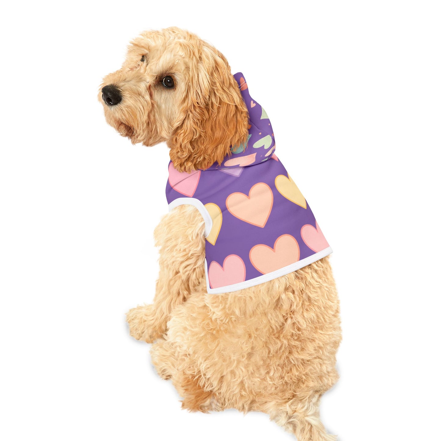 beautiful heart hodi for cats and dogs