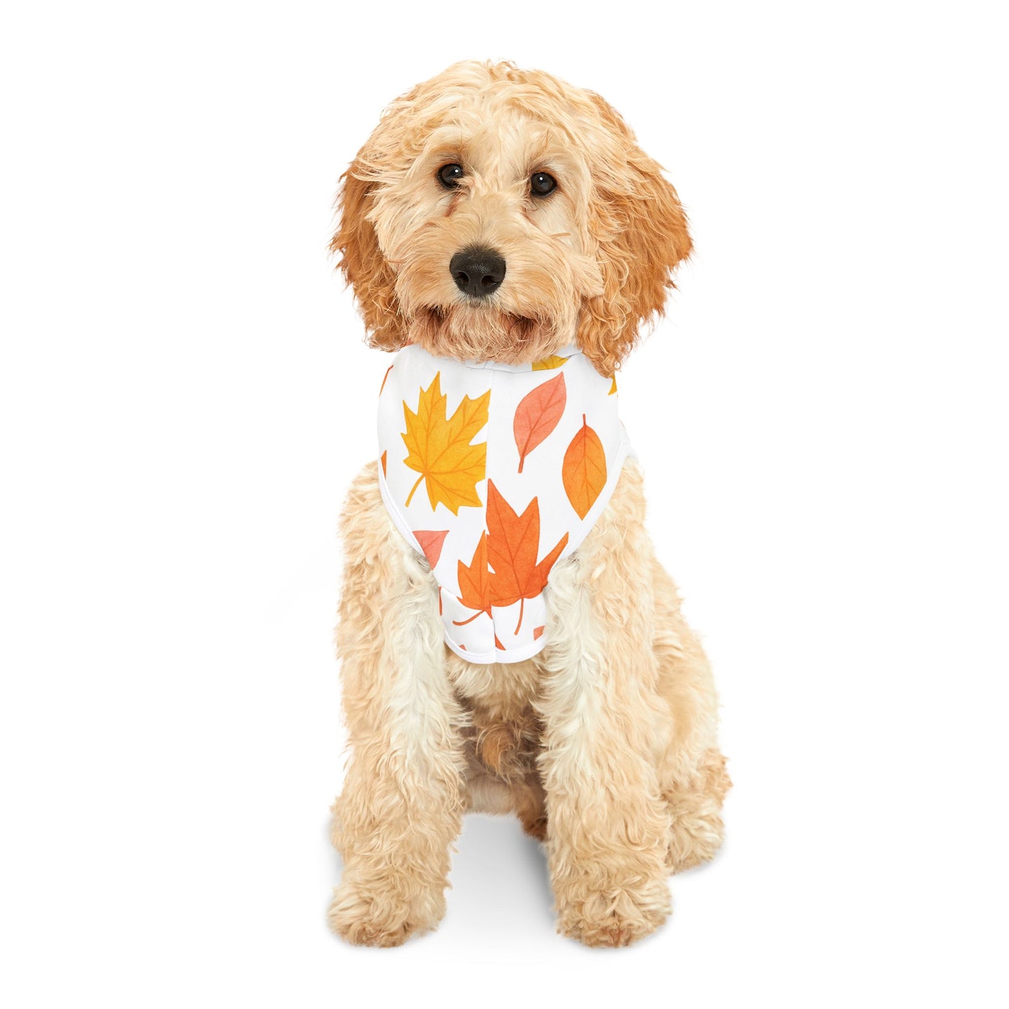Autumn Leaves Pet Hoodie | Cozy Dog Attire, Fall Fashion for Pets, Cute Pet Apparel, Seasonal Dog Hoodie, Warm Petwear