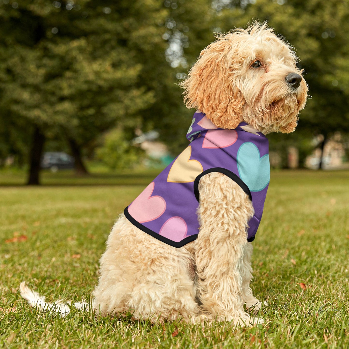beautiful heart hodi for cats and dogs