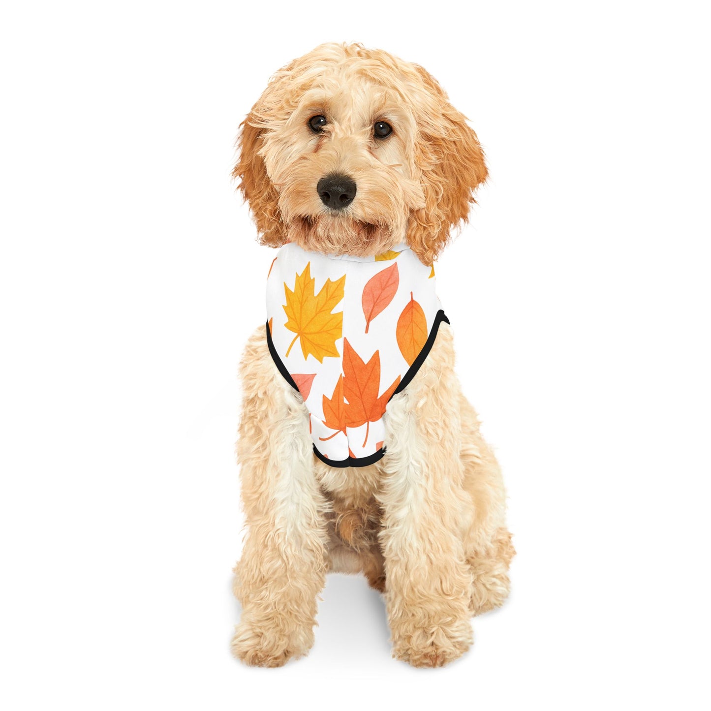 Autumn Leaves Pet Hoodie | Cozy Dog Attire, Fall Fashion for Pets, Cute Pet Apparel, Seasonal Dog Hoodie, Warm Petwear