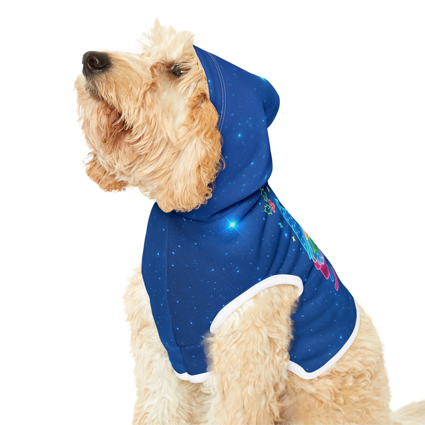 Cute Winter Gnome Pet Hoodie for Cozy Pets, Funny Dog Sweater, Holiday Pet Outfit, Seasonal Dog Gear, Gnome Lover Gift