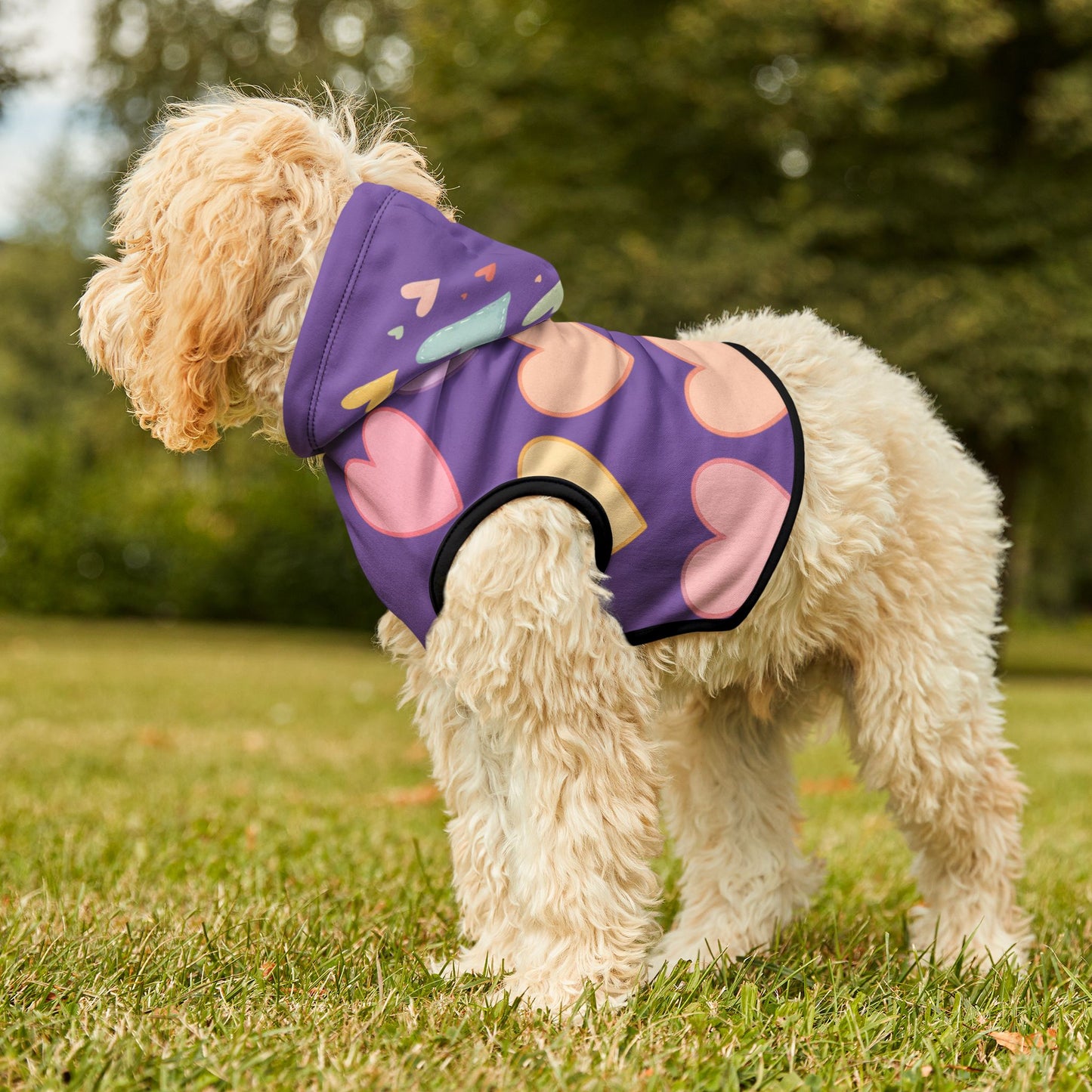 beautiful heart hodi for cats and dogs