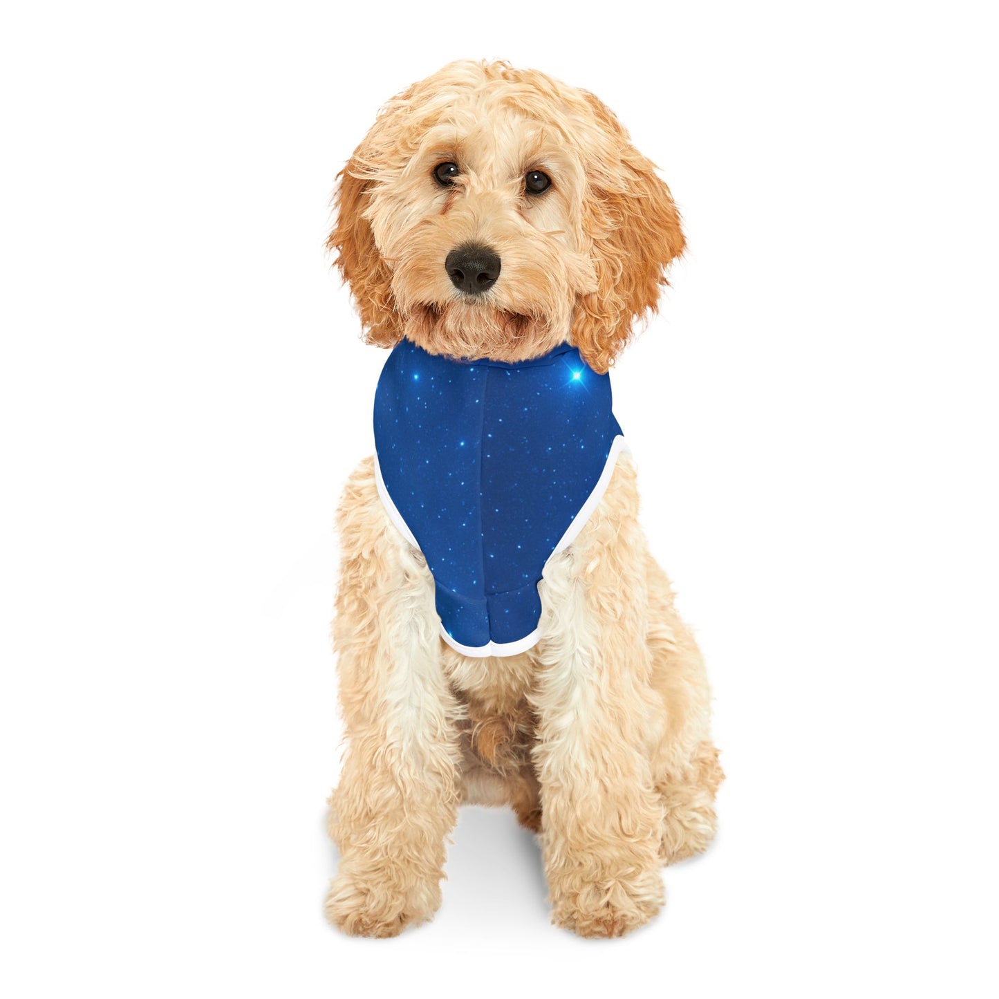 Cute Winter Gnome Pet Hoodie for Cozy Pets, Funny Dog Sweater, Holiday Pet Outfit, Seasonal Dog Gear, Gnome Lover Gift