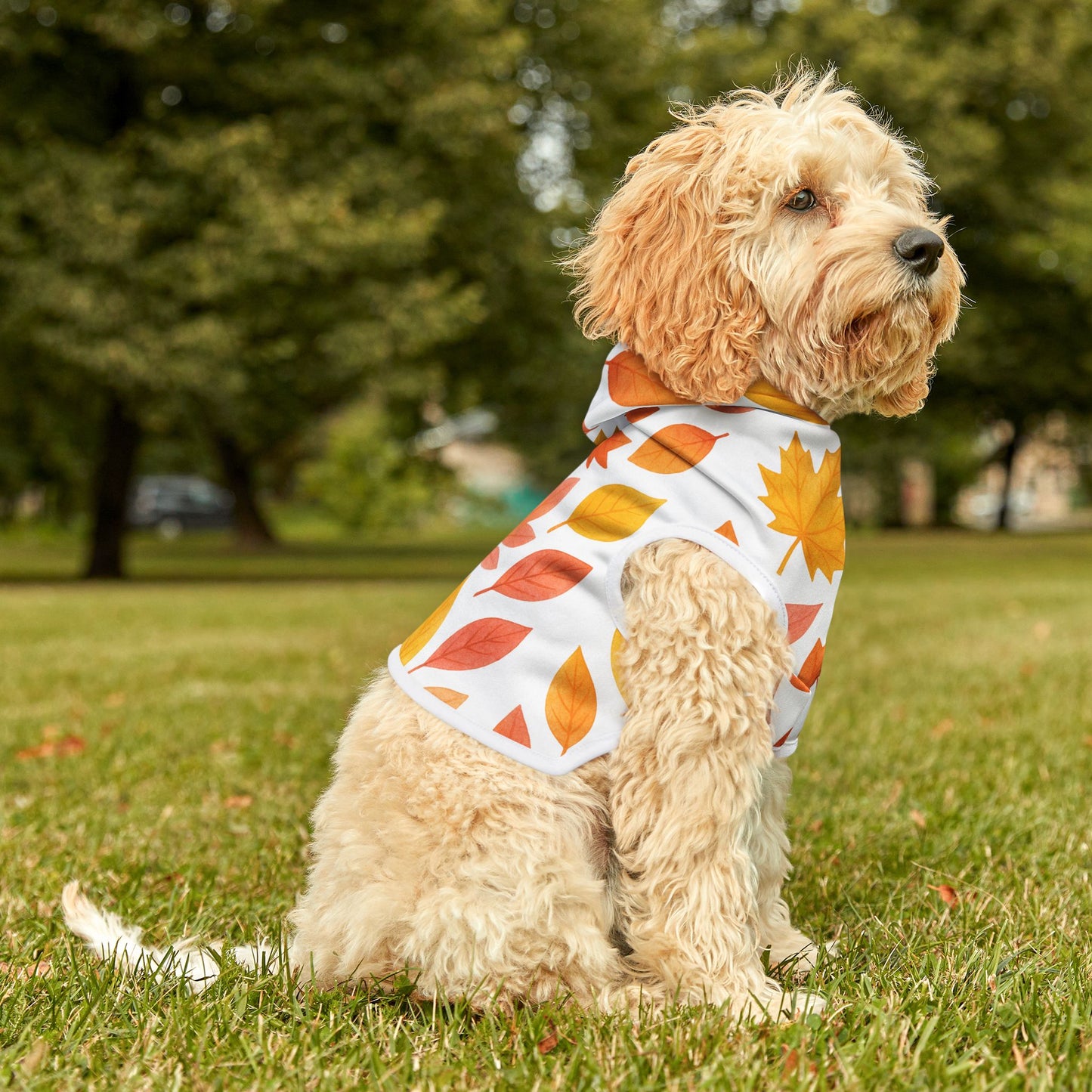 Autumn Leaves Pet Hoodie | Cozy Dog Attire, Fall Fashion for Pets, Cute Pet Apparel, Seasonal Dog Hoodie, Warm Petwear