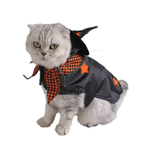 Cat wearing Halloween witch cloak and hat