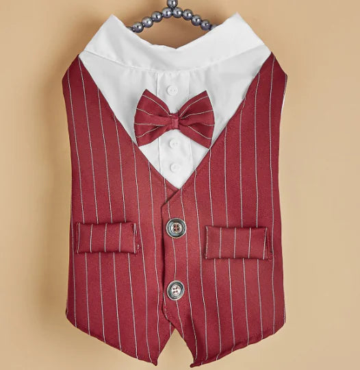 Lightweight fashionable pet shirt for casual or dress-up