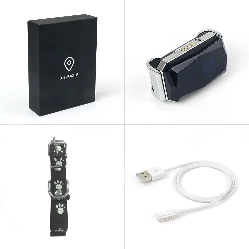 Pet collar with GPS tracking and geofence feature displayed on smartphone