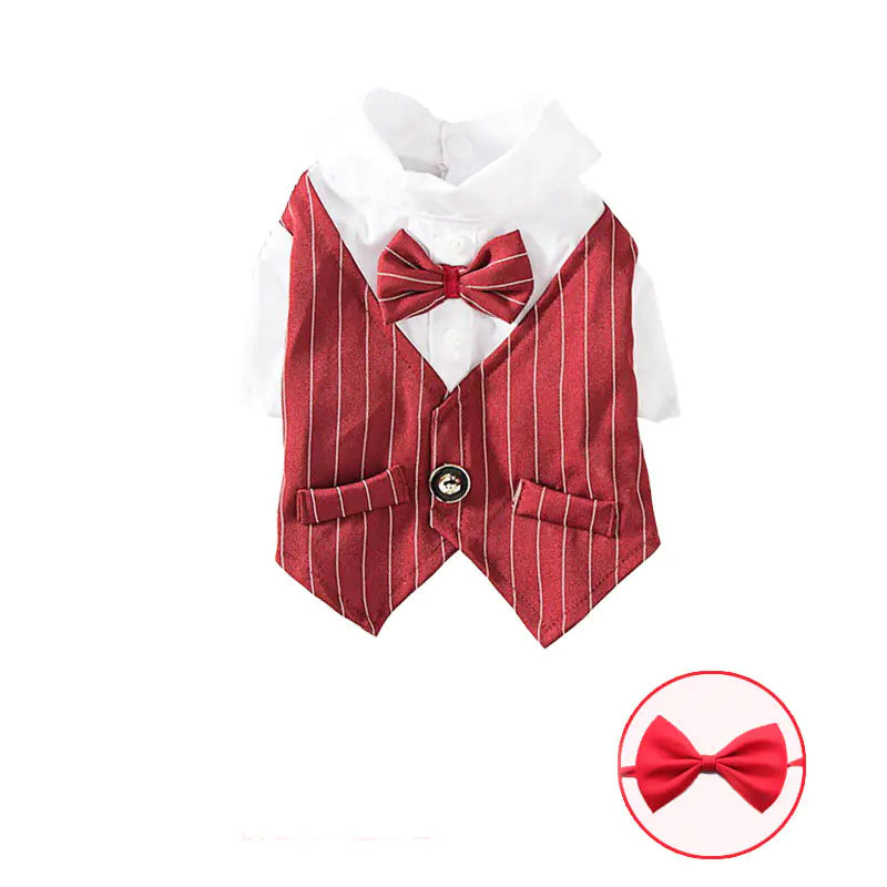Lightweight fashionable pet shirt for casual or dress-up