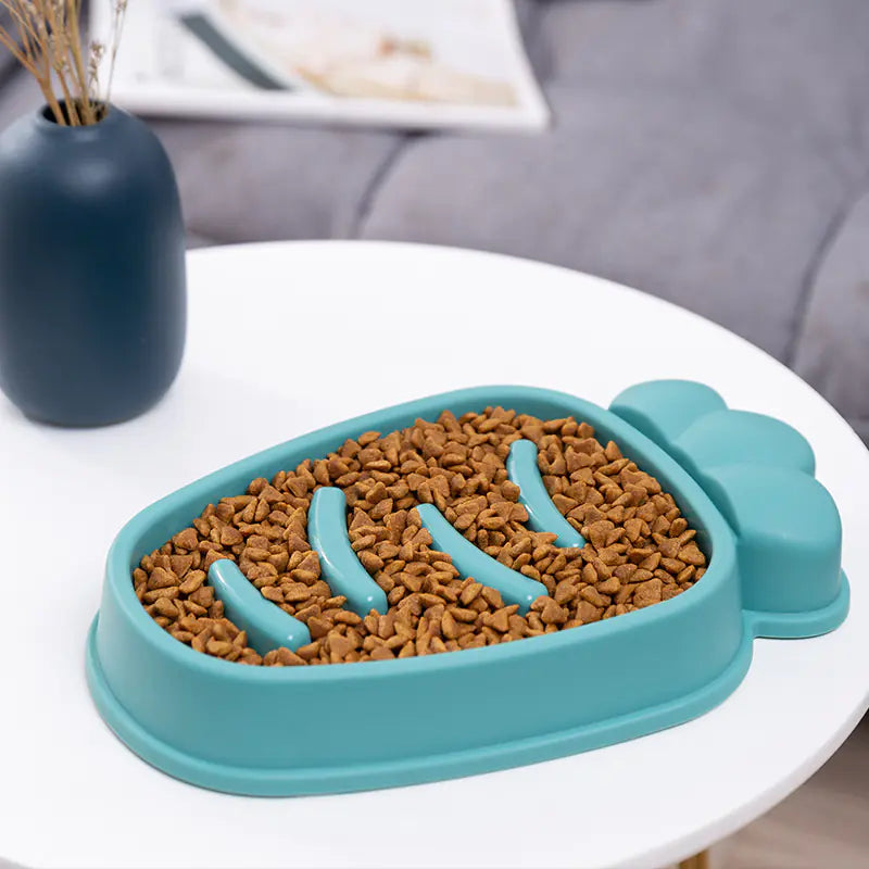 Bowl for pet, for rabbit, turtle, dog, cat