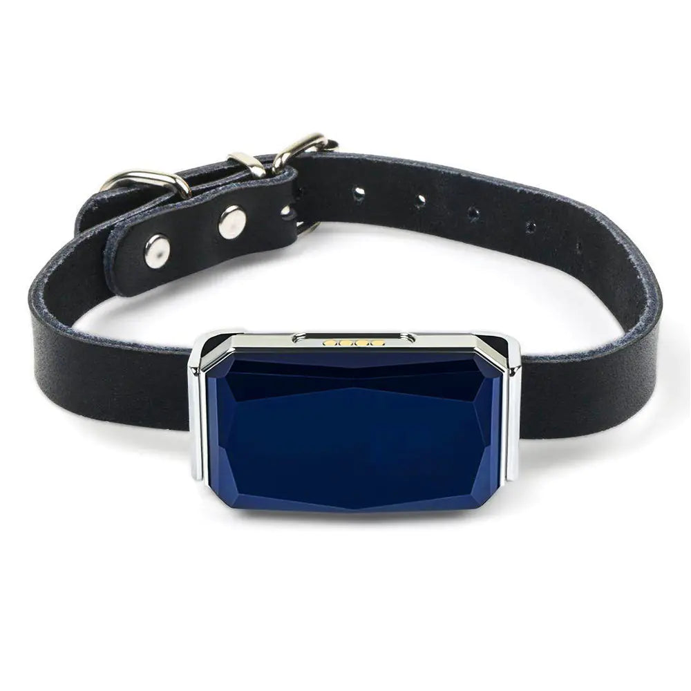 GPS Pet Tracker Collar showing real-time pet location on phone
