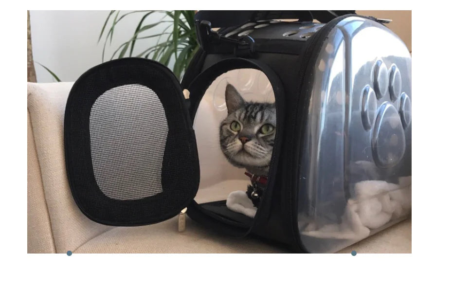 Cat looking out clear space capsule pet backpack for travel