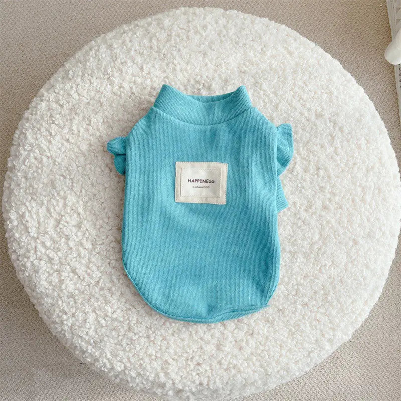 Small dog wearing knit sweater with flying sleeves princess style in blue