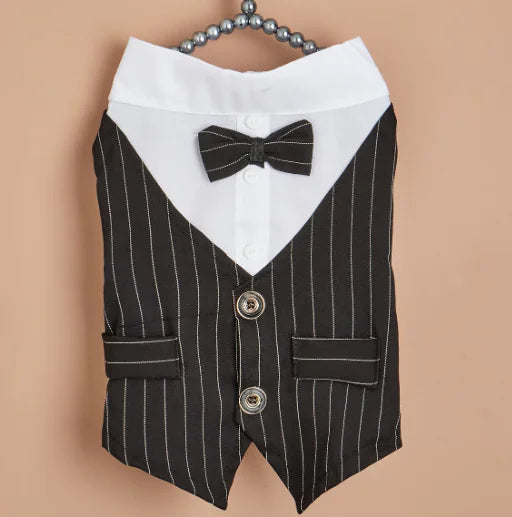 Lightweight fashionable pet shirt for casual or dress-up