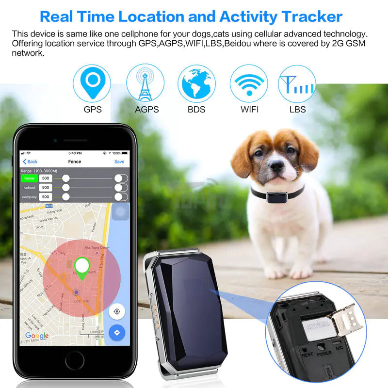 GPS Pet Tracker Collar showing real-time pet location on phone