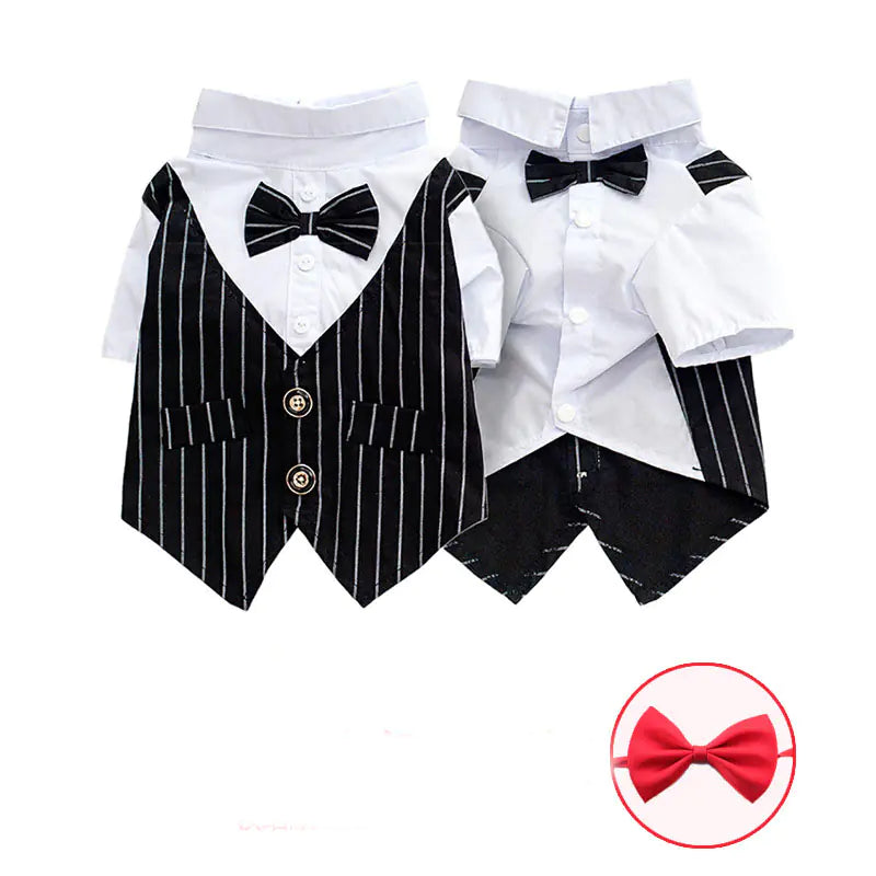 Lightweight fashionable pet shirt for casual or dress-up