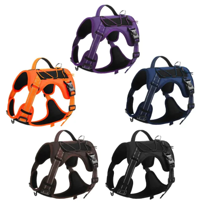Adjustable Pet Harness with Reflective Trim