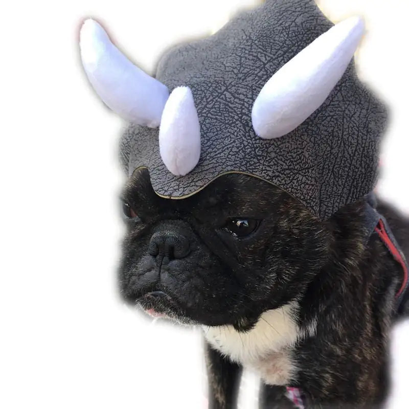 Dog wearing Teddy Pet Triceratops dinosaur hat costume