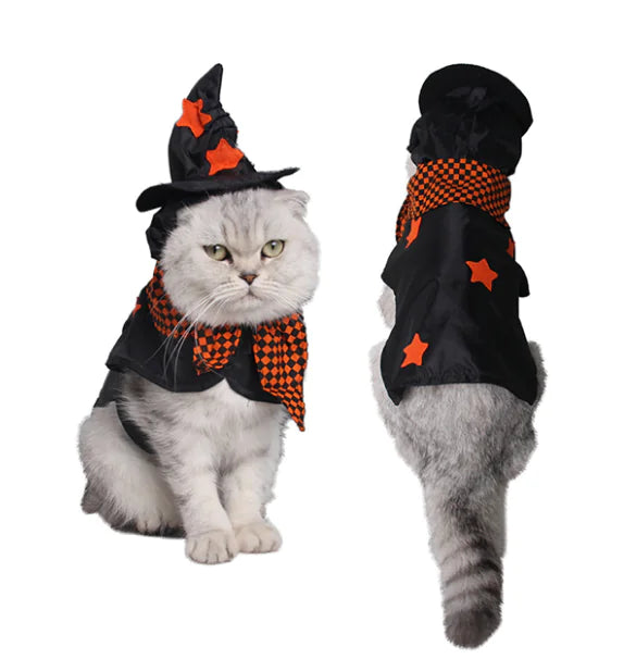 Halloween witch pet costume cloak and hat on dog”