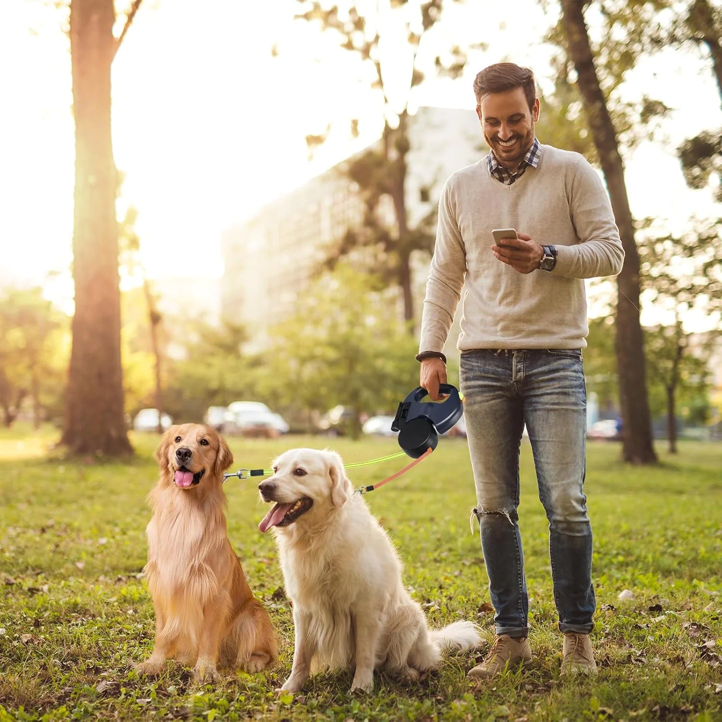 dual retractable leash walking two dogs side by side