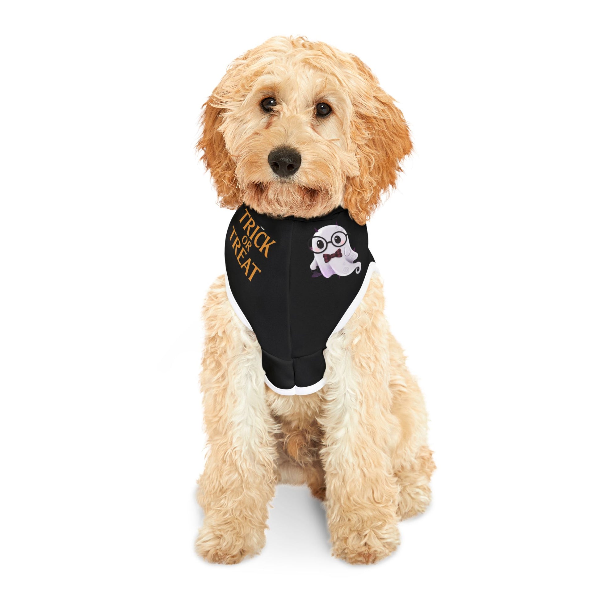 Halloween ghost dog costume trick or treat outfit