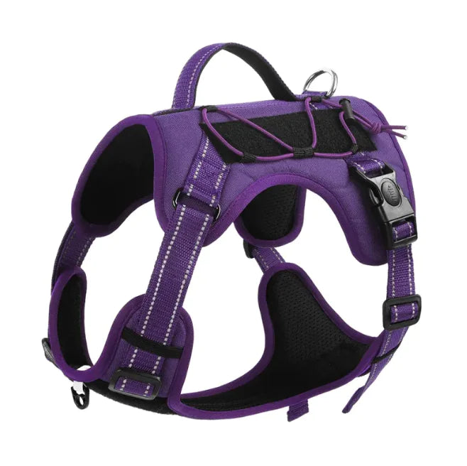 Adjustable Pet Harness with Reflective Trim