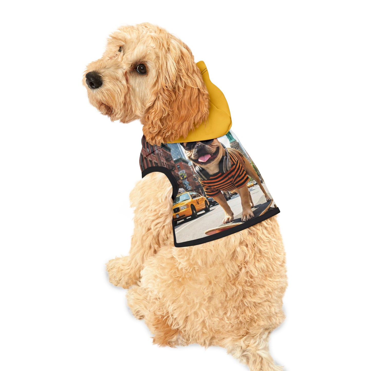 DOG sweter on skateboard/ Dog hodie