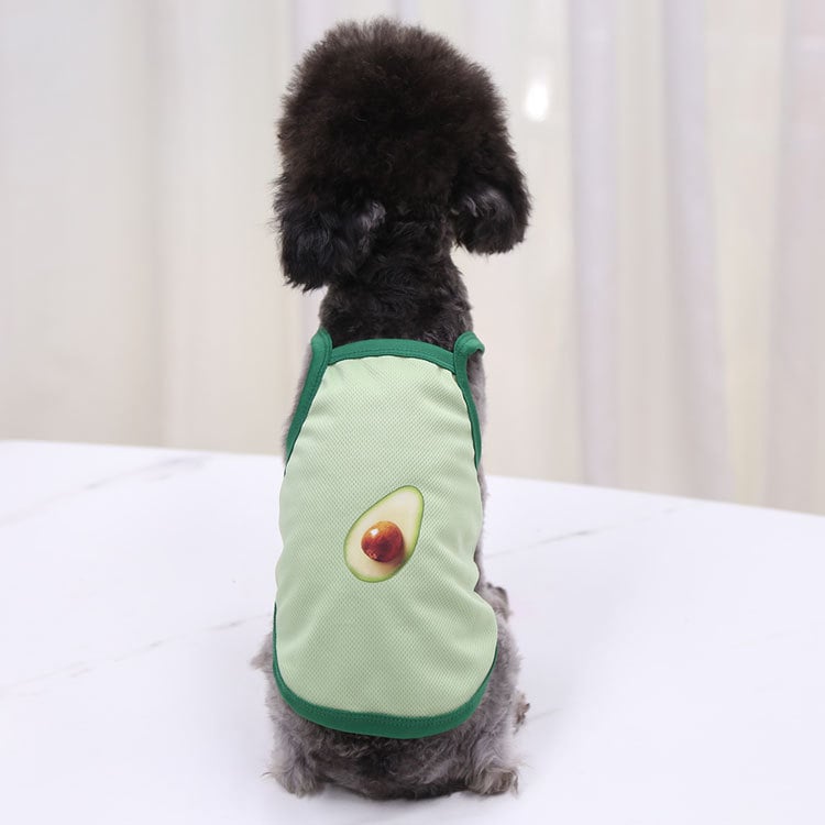 Cute avocado print mesh camisole for dogs and cats