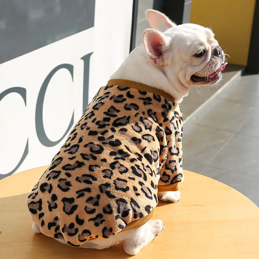 Autumn Winter warm puppy jacket – front view