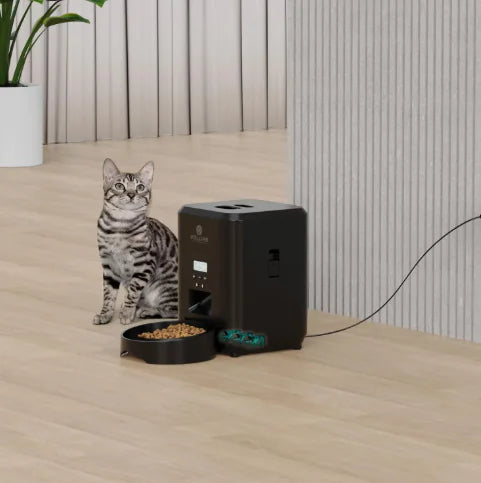 Smart Automatic Pet Feeder