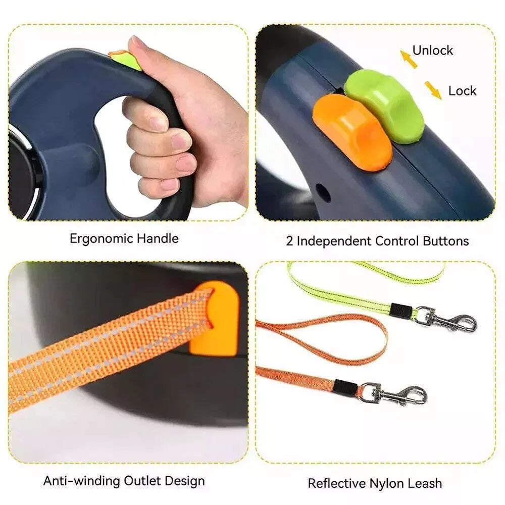 dual retractable leash walking two dogs side by side