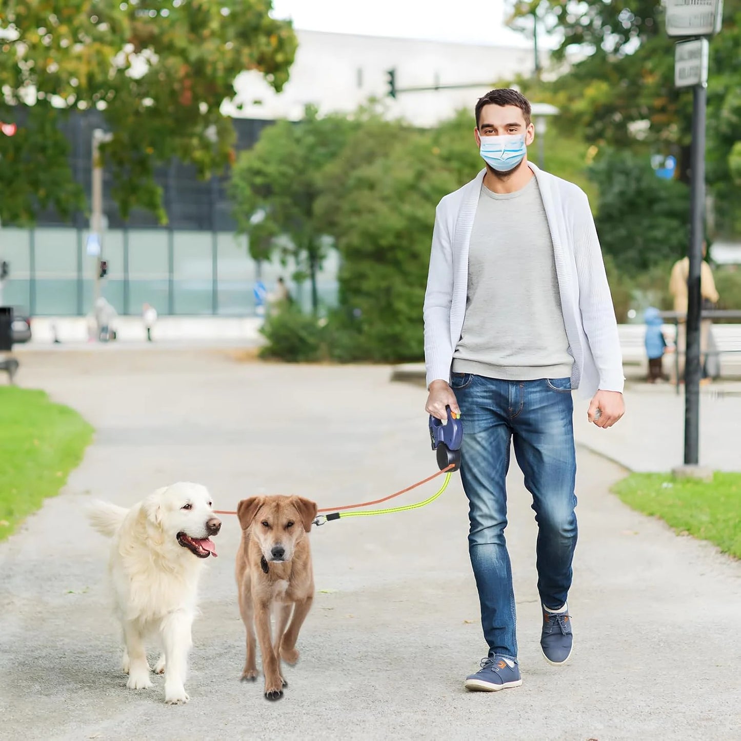 dual retractable leash walking two dogs side by side