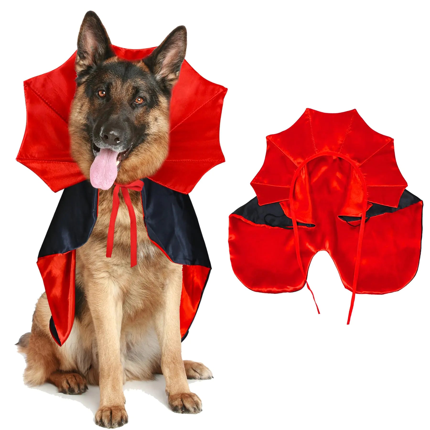 large dog wearing vampire cloak devil cape Halloween costume
