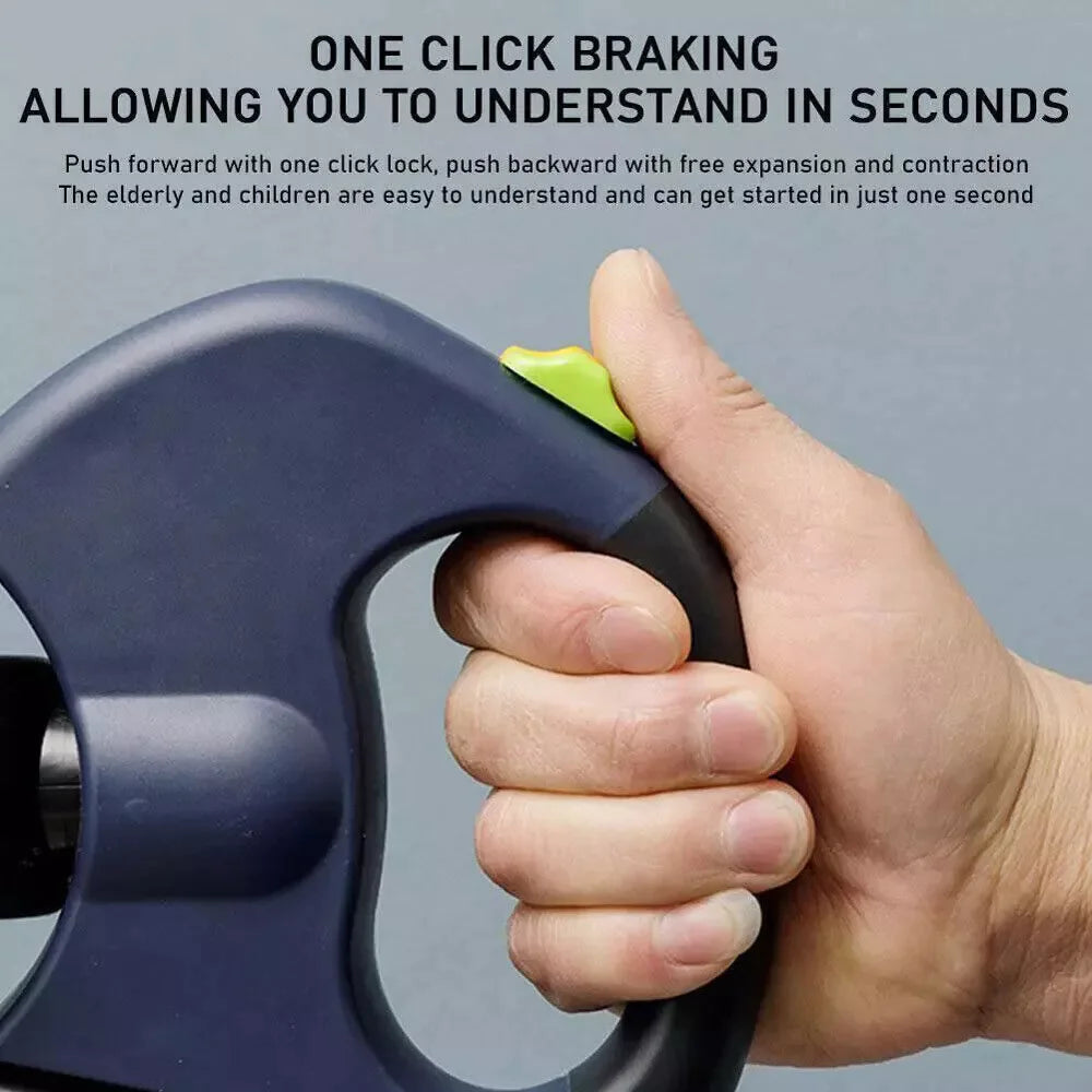 dual retractable leash walking two dogs side by side