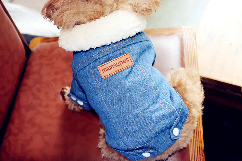 Dog Cotton Jacket, Denim Pet Clothes