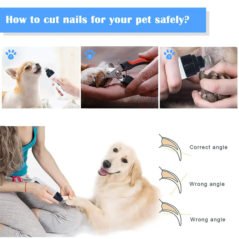 Electric Dog Nail Trimmer: SafeTrim Pro: Electric, Safe, and Gentle for the Paws You Love Most
